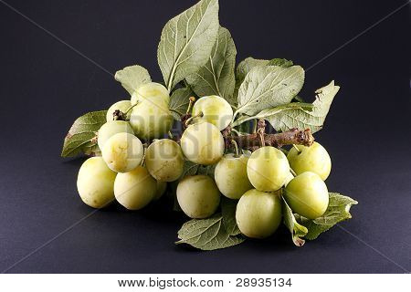 Zielone śliwki