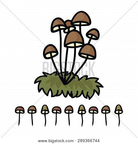 Cute Mycena Mushroom Cartoon Vector Illustration Motif Set. Hand Drawn Edible Fungi
