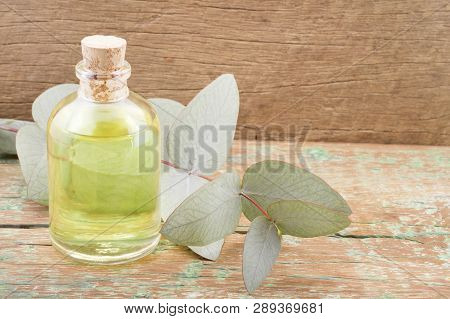 Oil And Eucalyptus Leaves On The Wooden Table - Eucalyptus Deglupta