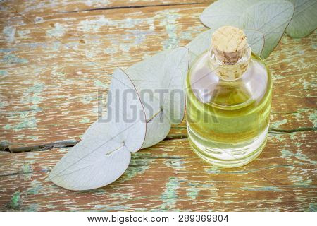 Jar With Oil And Eucalyptus Leaves On Wood