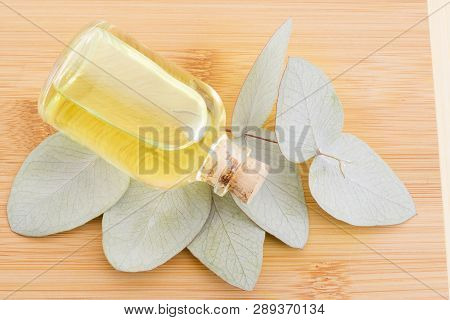Oil And Eucalyptus Leaves On The Wooden Table - Eucalyptus Deglupta