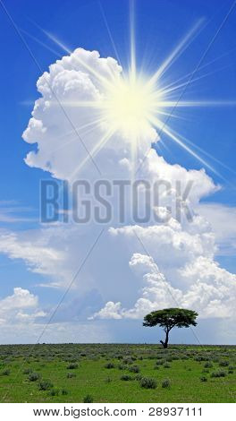 un albero solitario contro un pesante nube grande con sole e cielo