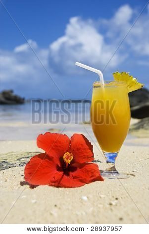 en frisk is kold frugt cocktail drink og poinsettia blomst på en tropisk ø strand - fokus på th
