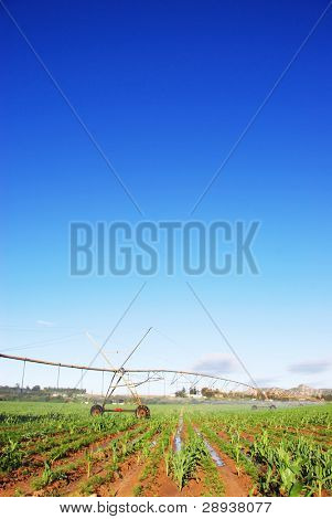 Öffnen Sie ein Bewässerungssystem Bewässerung ein Feld-Hof mit blauen Himmel