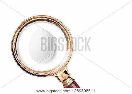 White Egg In The Magnifying Glass. Food Conccept