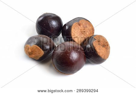 Guarana Seed Paullinia Cupana. Isolated On White Background