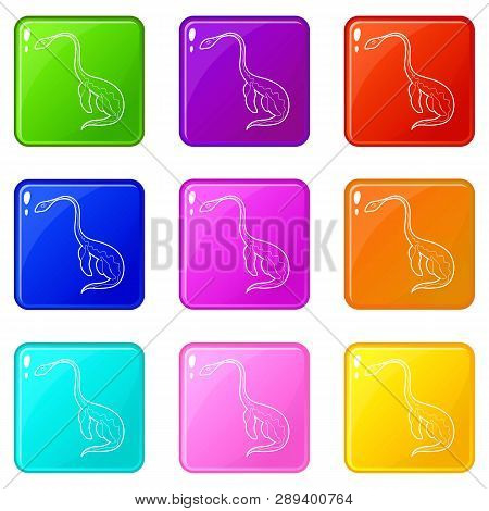 Aquatic Dinosaur Icons Set 9 Color Collection Isolated On White For Any Design