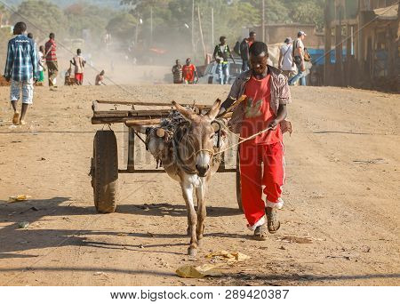 Jinka, Ethiopia - December 07, 2013: Ethiopian Man Walking Down The Street With A Cart, Which Drags 