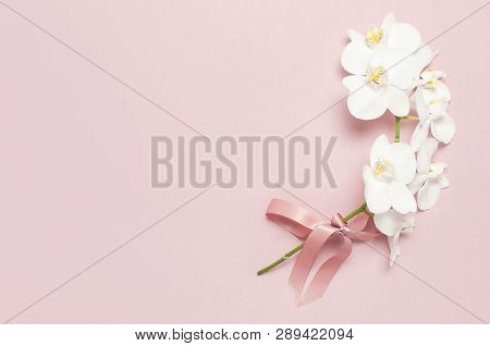 Beautiful White Phalaenopsis Orchid Flowers On Pastel Pink Background Top View Flat Lay. Tropical Fl