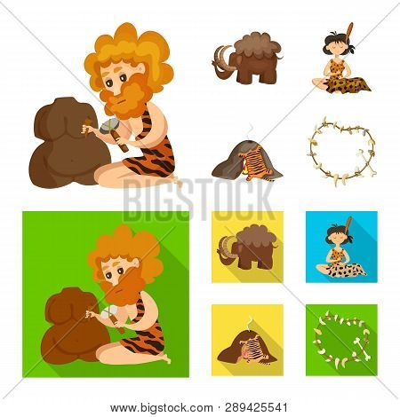 Vector Design Of Evolution  And Prehistory Logo. Collection Of Evolution  And Development  Vector Ic