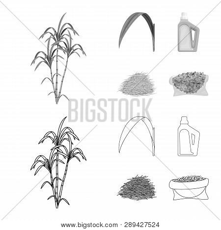 Vector Illustration Of Farm And Agriculture  Symbol. Set Of Farm And Technology Stock Symbol For Web