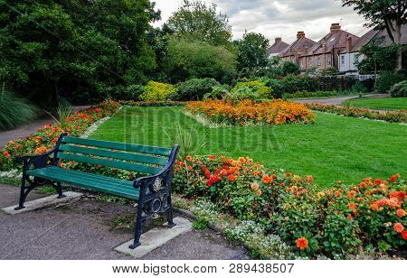 Beautiful View Of Trees And Flowerbed With Flowers In The Park In The Autumn Afternoon, Barnet, Lond