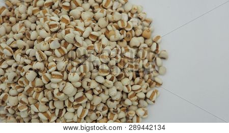 Job's Tears, Also Known As Adlay And Coix On White Background. Popular In Asian Cultures As A Food S