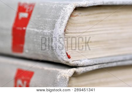 A Few Old Books In A Light Cover Stack On A Table Close-up Design Blank For The Project