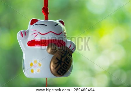 Maneki Neko Is Japanese Lucky Cat Doll Hanging On The Window With Nature Background