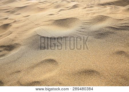 Maspalomas The Sand Dunes On Gran Canaria