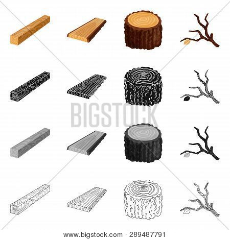 Vector Design Of Tree   And Raw  Icon. Set Of Tree   And Construction Vector Icon For Stock.
