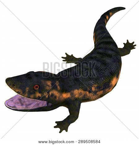 Dendrerpeton Amphibian Head 3d Illustration - Dendrerpeton Was A Carnivorous Amphibian Animal That L