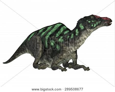 Maiasaurus Dinosaur Head 3d Illustration - Maiasaurus Was A Large Herbivorous Dinosaur That Lived In