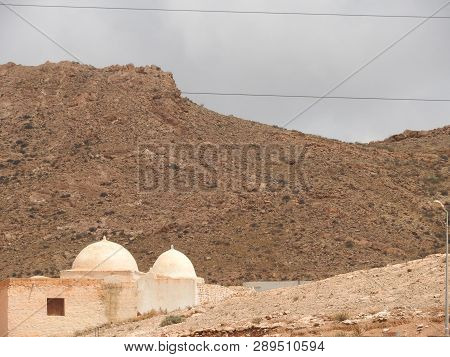 A Single Palm Tree In The City Of Matmata, Tunisia, Africa.