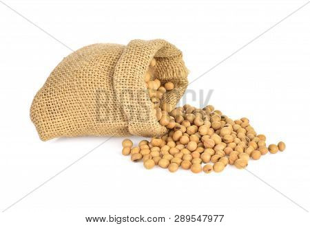 A Soybeans  Isolated On The White Background