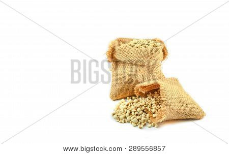 Job's Tears Coix Lachryma Jobi Grain Seeds In Sack