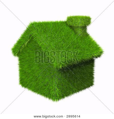 Groen huis