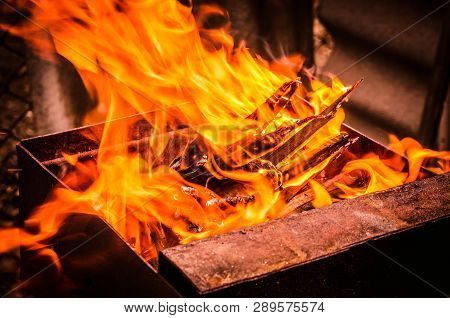 Firewood In A Bursting Fire For A Grill Or Picnic