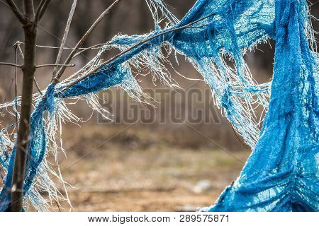 Plastic Debris In A Bush Blowing In The Wind.