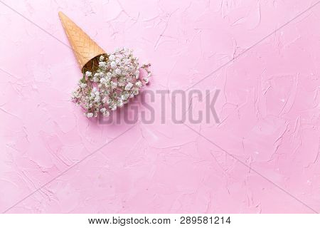 Fresh White Gypsofila  Flowers In Waffle Cone On  Pink Textured Background. Top View. Place For Text