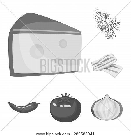 Vector Design Of Spices  And Aroma Logo. Set Of Spices  And Product Stock Vector Illustration.