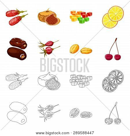 Vector Illustration Of Food  And Raw  Sign. Set Of Food  And Nature   Stock Vector Illustration.