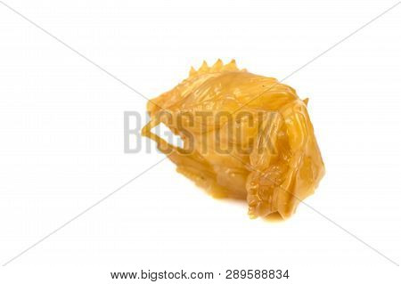 Larva Of Dung Beetle Isolate On White