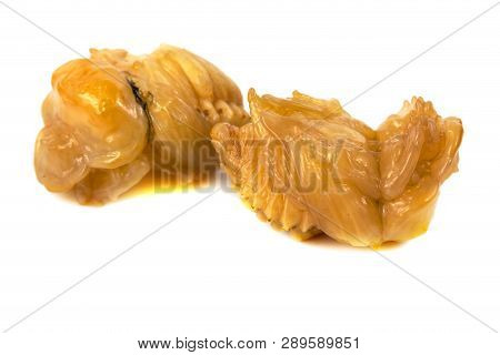 Larva Of Dung Beetle Isolate On White