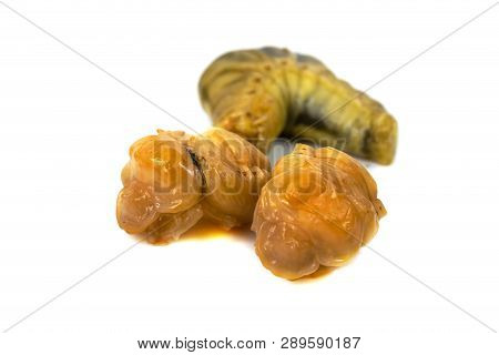 Larva Of Dung Beetle Isolate On White