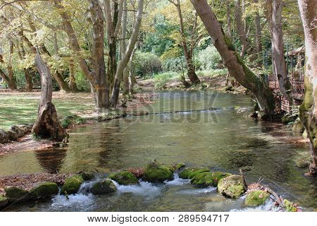 Agios Nikolaos Park Naousa Greece Europe