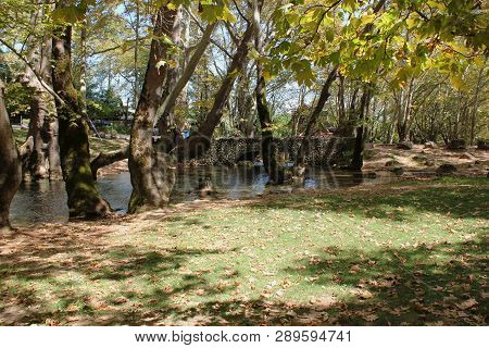 Agios Nikolaos Park Naousa Greece Europe