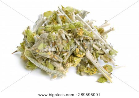 Sideritis, Also Known As Ironwort, Mountain Tea And Shepherds Tea. Isolated On White