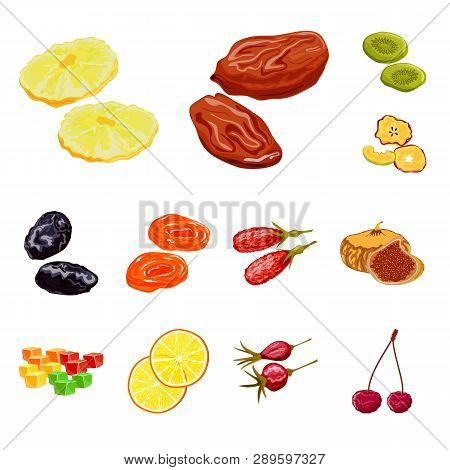 Vector Design Of Fruit And Dried  Logo. Set Of Fruit And Food  Vector Icon For Stock.