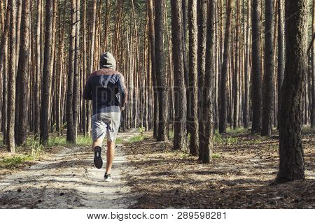 Man In Hoodie Has Workout In A Pine Forest. Concept Of Morning Matins Jogging In Outdoor
