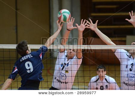 KAPOSVAR, Ungarn - 15 januar: Balint Magyar (2. fra L) i aktion på en ungarsk volleyball Natio