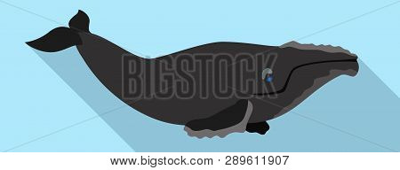 Right Whales Icon. Flat Illustration Of Right Whales Icon For Web Design