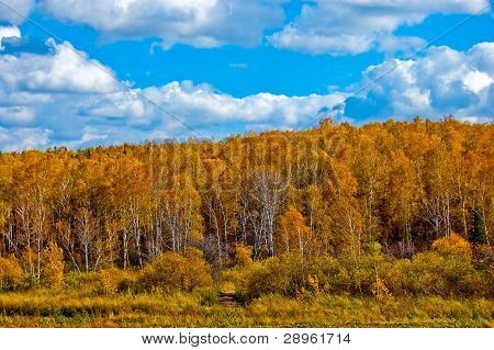 Paesaggio