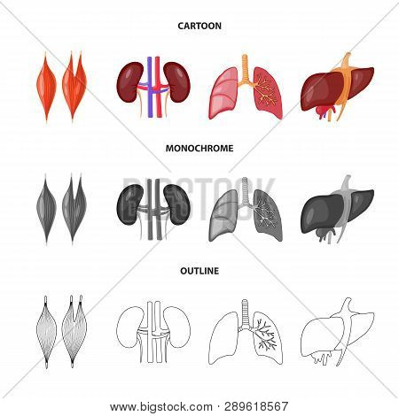 Isolated Object Of Biology And Scientific Icon. Set Of Biology And Laboratory Vector Icon For Stock.