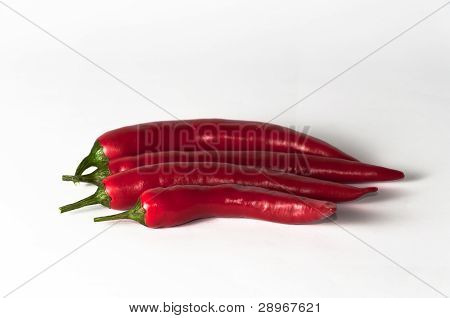 Quattro Chili Peppers