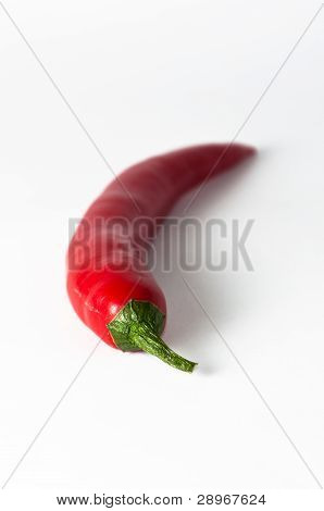Chili Pepper Stem