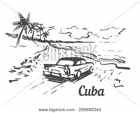 Palm Beach Cuba Island Hand Drawn. Cuba Sketch Vector Illustration