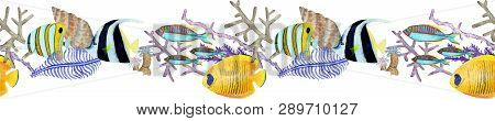 Hand drawn seamless border in watercolor sea world natural element. Corals reef on white background.