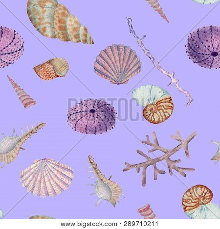 Hand drawn seamless pattern in watercolor sea world natural element. Corals shells on lilac background