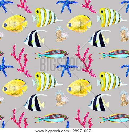 Hand drawn seamless pattern in watercolor sea world natural element. Corals shells fish on grey background